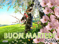 BUON MARTEDI' - Δωρεάν κινούμενο GIF