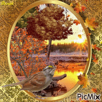 der Herbst Gesang des Vogels - Δωρεάν κινούμενο GIF