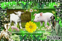 adorable chèvre et petit cochon анимирани ГИФ