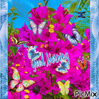 Butterfly Good Morning - GIF animé gratuit