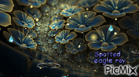 #13733 Spotted eagle ray - Ücretsiz animasyonlu GIF