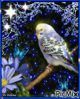 A little cute bird. - GIF animasi gratis