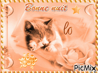 Bonne nuit les chatons - GIF animé gratuit