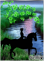 Black horse... animoitu GIF