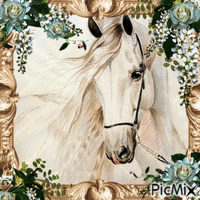 Pferd cheval horse - Безплатен анимиран GIF