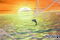 dolphin - Bezmaksas animēts GIF