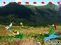 les grenouilles en folie animovaný GIF