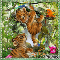 Les tigres - GIF animé gratuit