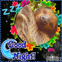 Good Night Sloth - Animovaný GIF zadarmo