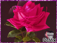 rose κινούμενο GIF