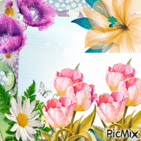 Les fleurs roses et blanches - GIF animado grátis