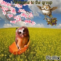 welcome owl GIF animado