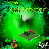 Tree lobster - Zdarma animovaný GIF