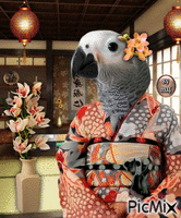 Japan Parrot 动画 GIF