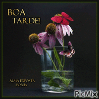 Boa Tarde! - Бесплатный анимированный гифка