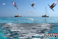 sea - Δωρεάν κινούμενο GIF