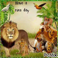 Have a Nice Day. Lion family - Bezmaksas animēts GIF
