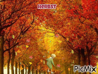 Herbstzeit - Ingyenes animált GIF