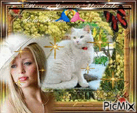 Concours la femme et le chat - Безплатен анимиран GIF