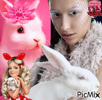 rabbit marshmellow - GIF animé gratuit