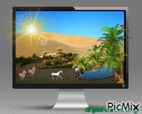 airplane horse desert palm animasyonlu GIF