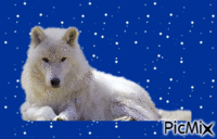 le loup - Darmowy animowany GIF