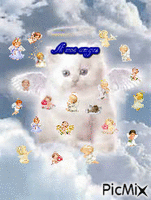 A nos anges - Free animated GIF