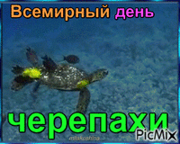 Всемирный день черепахи - Бесплатни анимирани ГИФ