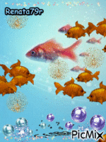 ryby pływają - Nemokamas animacinis gif