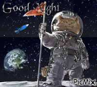good night анимированный гифка