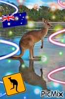 Cute Kangaroo анимированный гифка