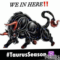 taurus season - GIF เคลื่อนไหวฟรี