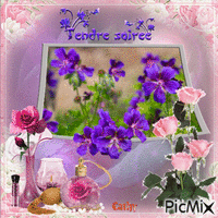 TENDRE SOIREE Animated GIF