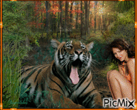Tiger animovaný GIF