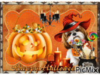 Carte Happy Halloween Gif Animado