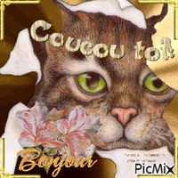 Coucou toi,bonjour - 無料のアニメーション GIF