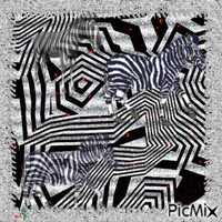Zebres, zebrer , zebrures анимиран GIF
