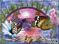 Papillons - Gratis animerad GIF