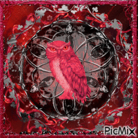 the red owl in the circle