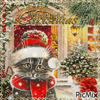 Chat Noël 🎅🎄 - Gratis geanimeerde GIF