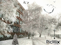 Winter - Kostenlose animierte GIFs