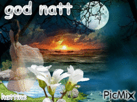 god natt - Бесплатный анимированный гифка