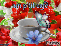 cafe animovaný GIF