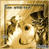 Bon week-end les chatons - Ücretsiz animasyonlu GIF