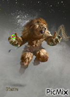 homme lion Animated GIF
