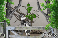 Vistiendo árboles animoitu GIF