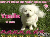 My dog Vanille - GIF animé gratuit
