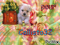 Pour Callisto32 - 無料のアニメーション GIF