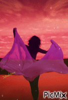 Beautiful Sunset - Darmowy animowany GIF
