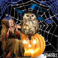 Halloween Owl - GIF animé gratuit